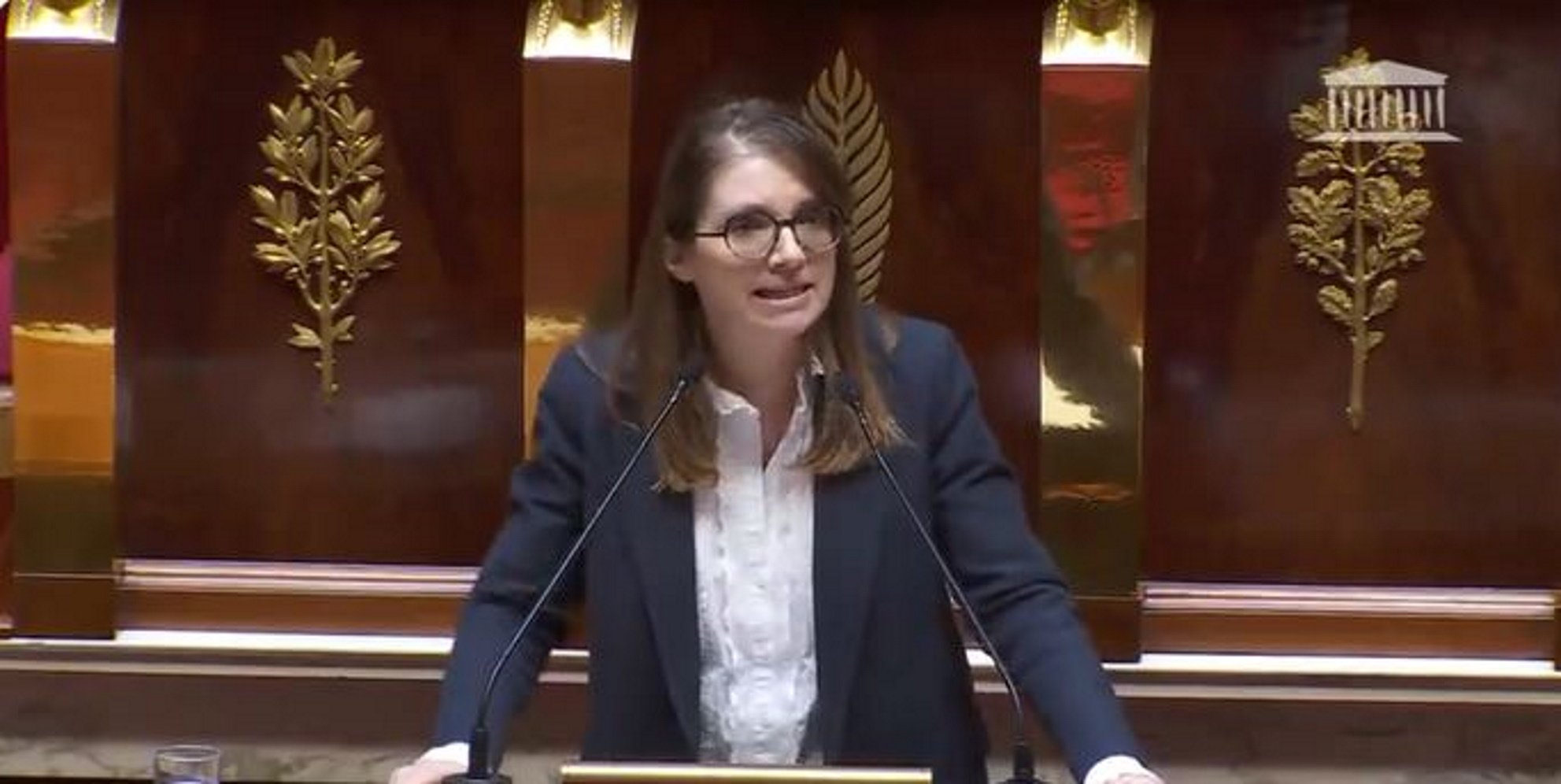 L'Assemblea francesa no fa com el Parlament català i rebutja atacar Israel