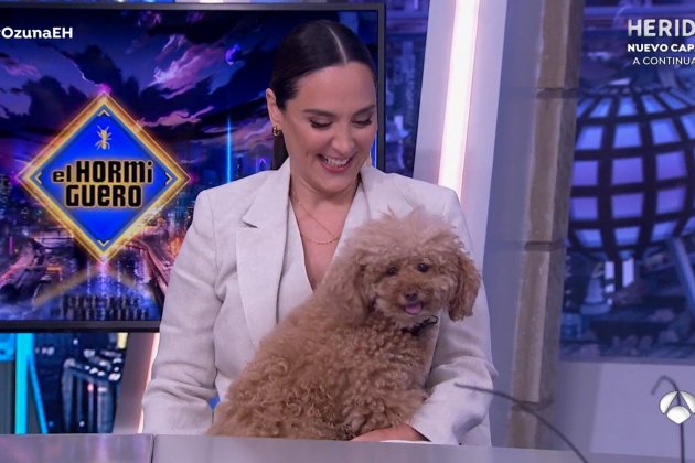 Tamara Falcó perro 2 Antena 3 Tamara Falcó perro 2 Antena 3