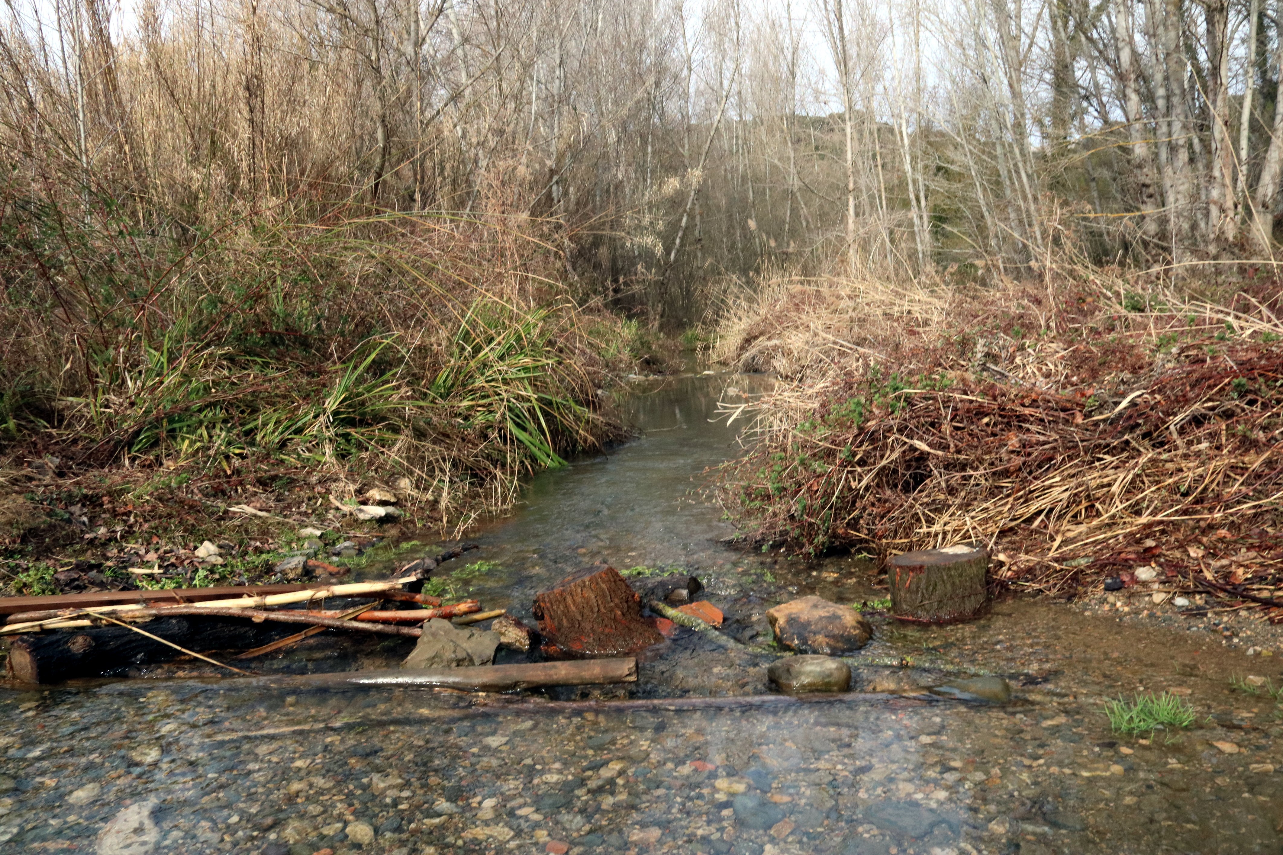 Troben el cadàver d'un home a un barranc a Riudecanyes