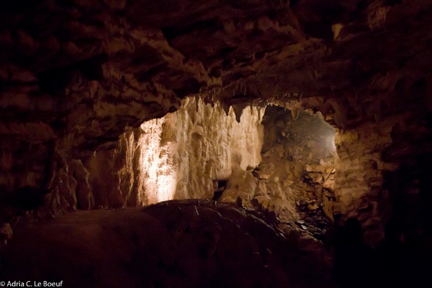 Las cuevas estrelladas de Waitomo: ¿cuál es el misterio que esconden?