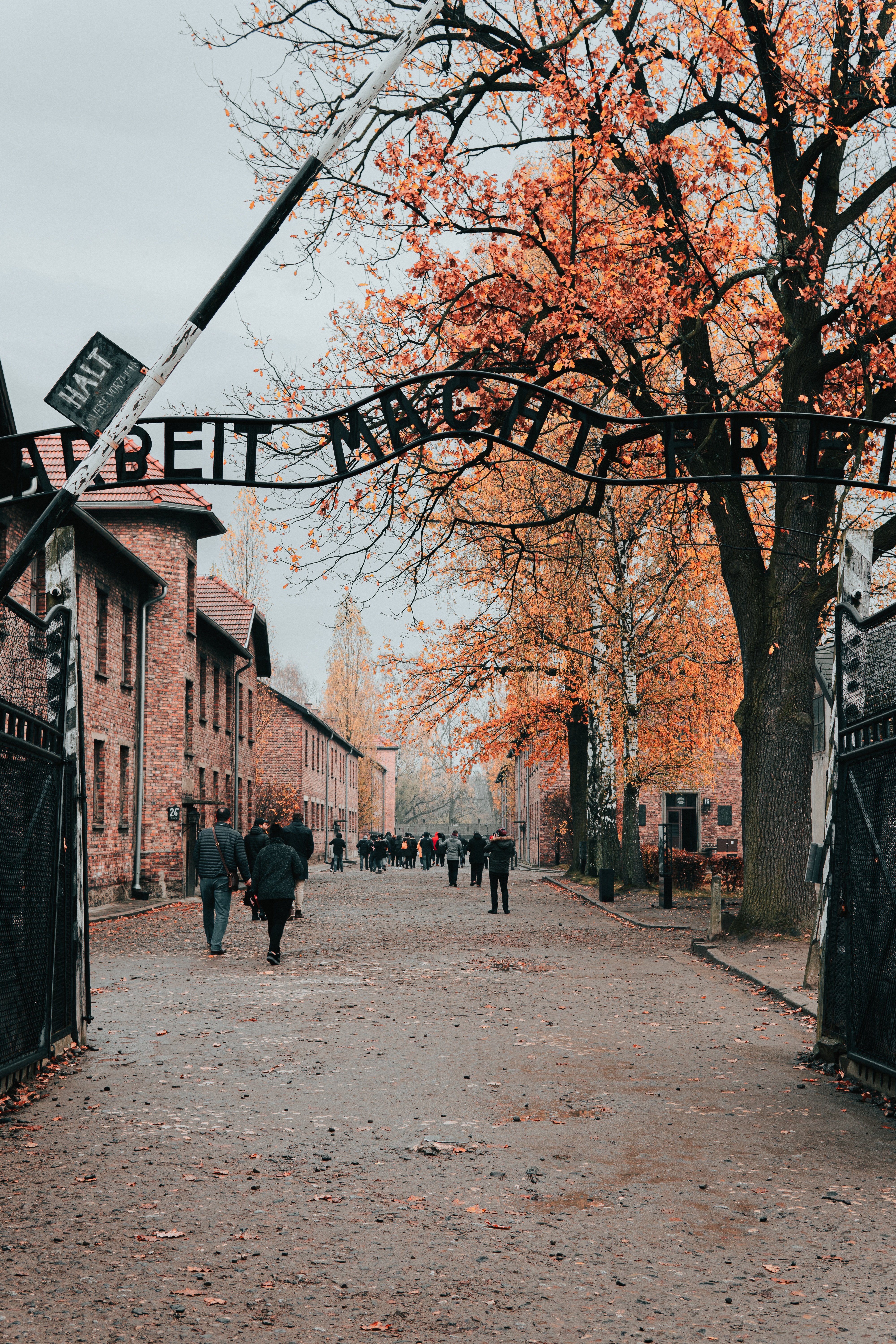 Polèmica a Auschwitz: obren una paradeta de gelats a la porta del camp de concentració nazi