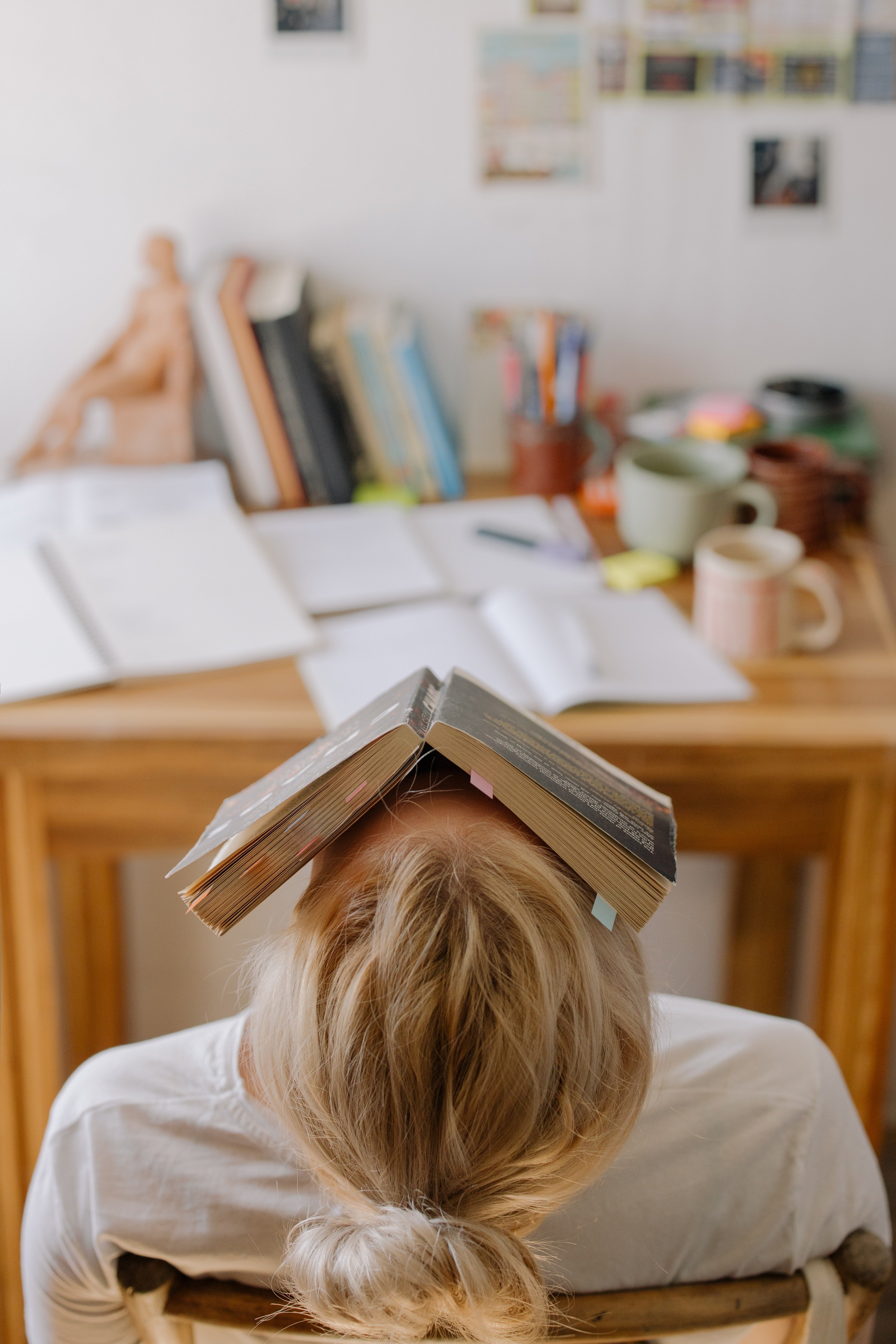 El règim del verb El règim del verb