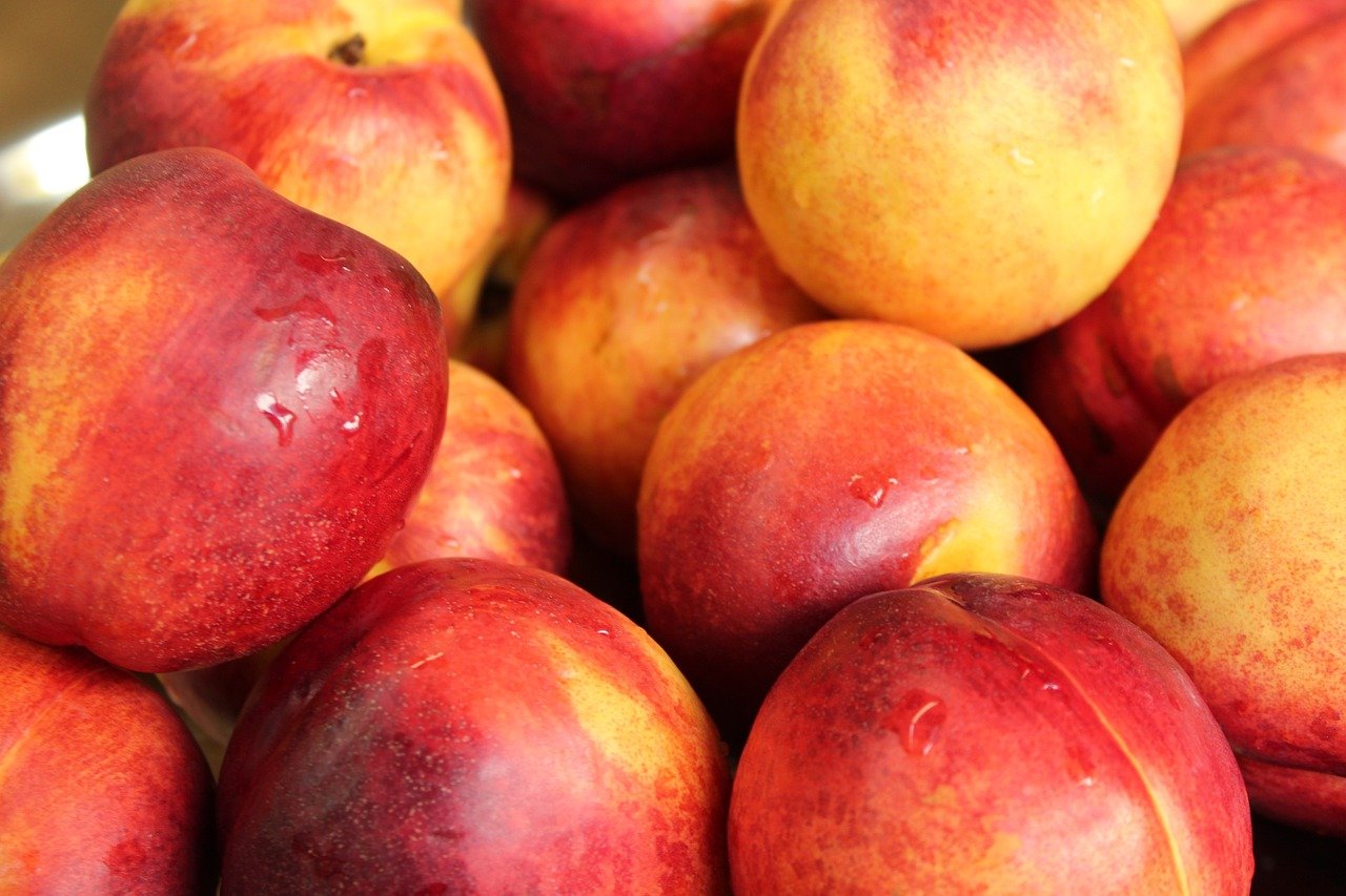 nectarines g6cf637f80 1280 nectarines g6cf637f80 1280