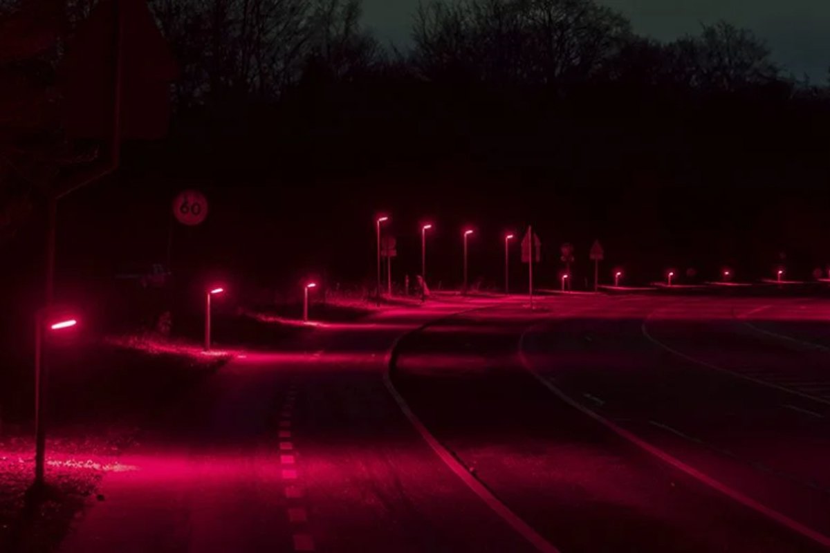 A los murciélagos les gusta el rojo