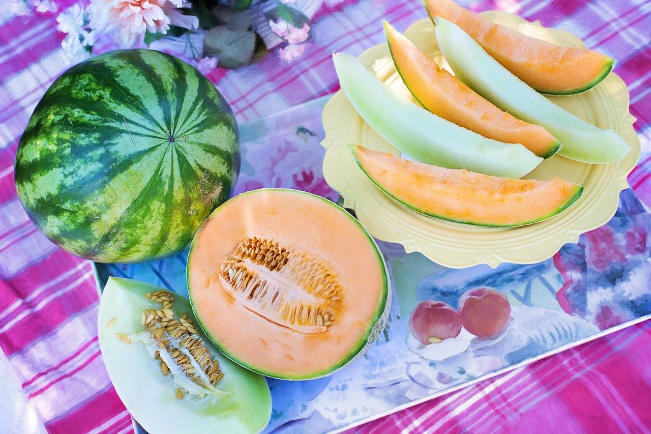 melons ga1ef04f4c 1280 melons ga1ef04f4c 1280
