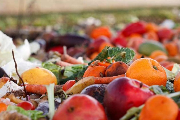 desperdicio alimentario contaminacion cambio climatico