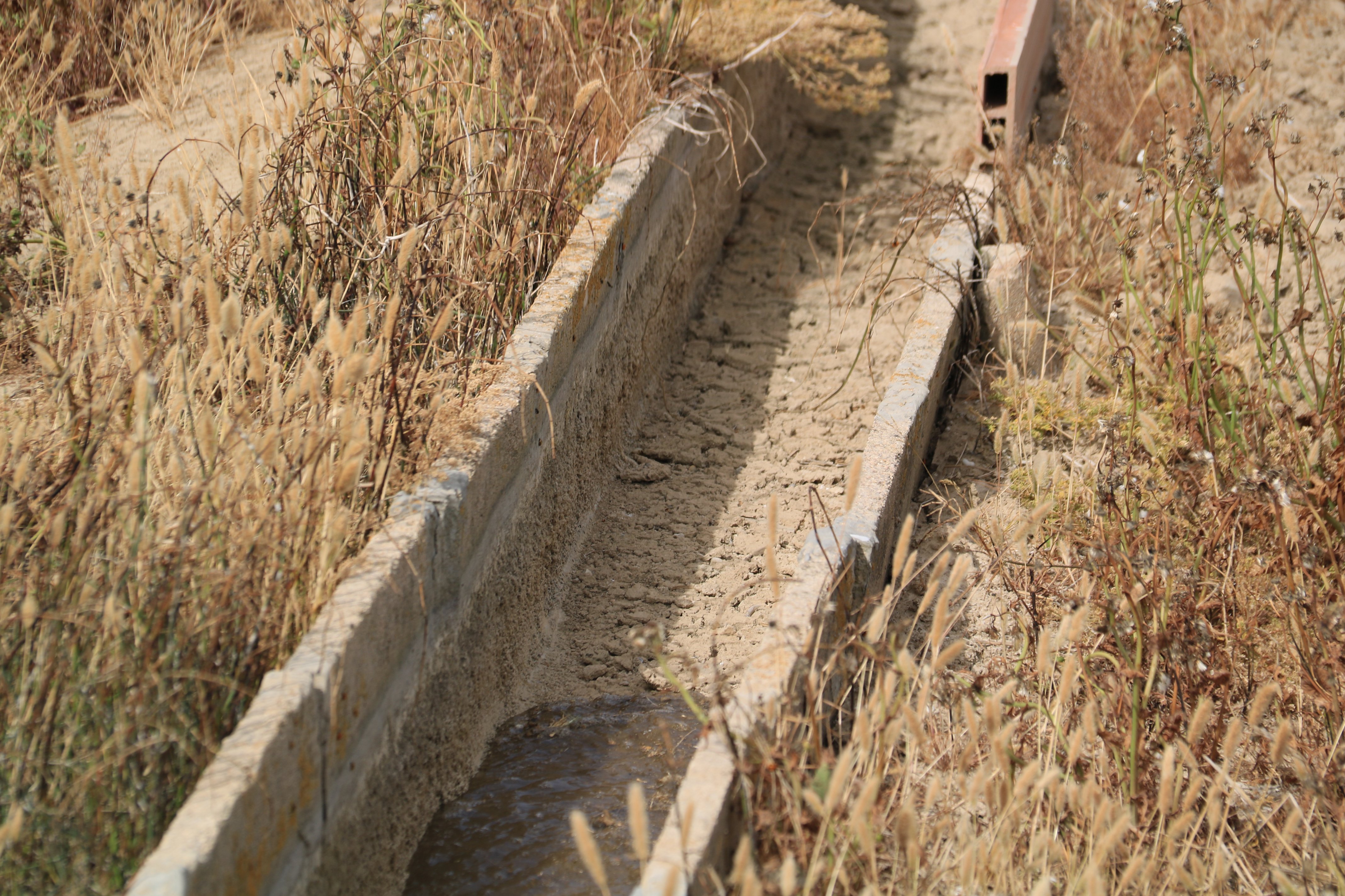 La CHE declara la excepcionalidad por sequía en la unidad del Baix Ebre