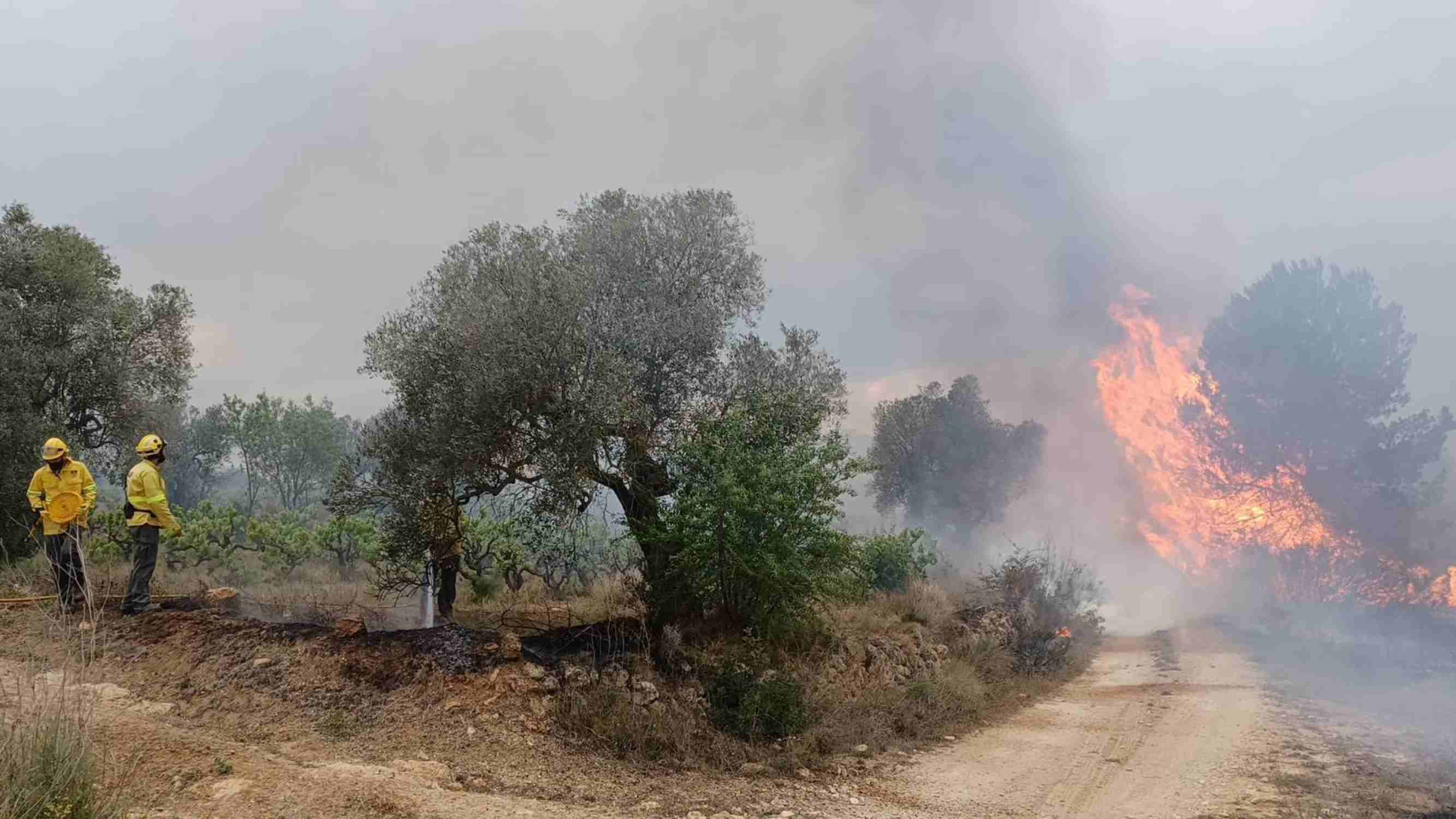 Incendi a Bonastre: prop de 60 dotacions de Bombers per donar el foc per estabilitzat