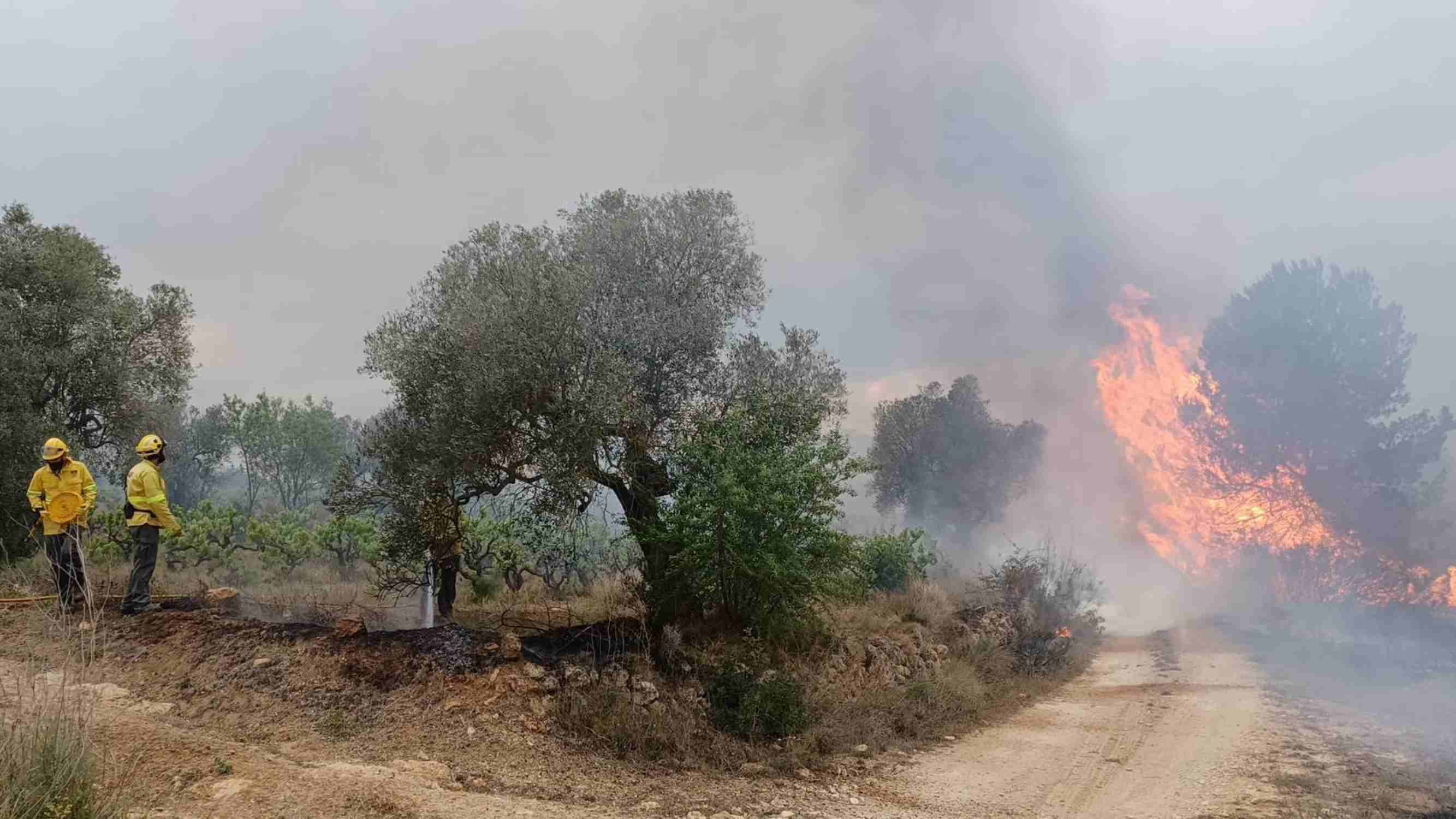 Incendio en Bonastre: cerca de 60 dotaciones de Bomberos para dar el fuego por estabilizado