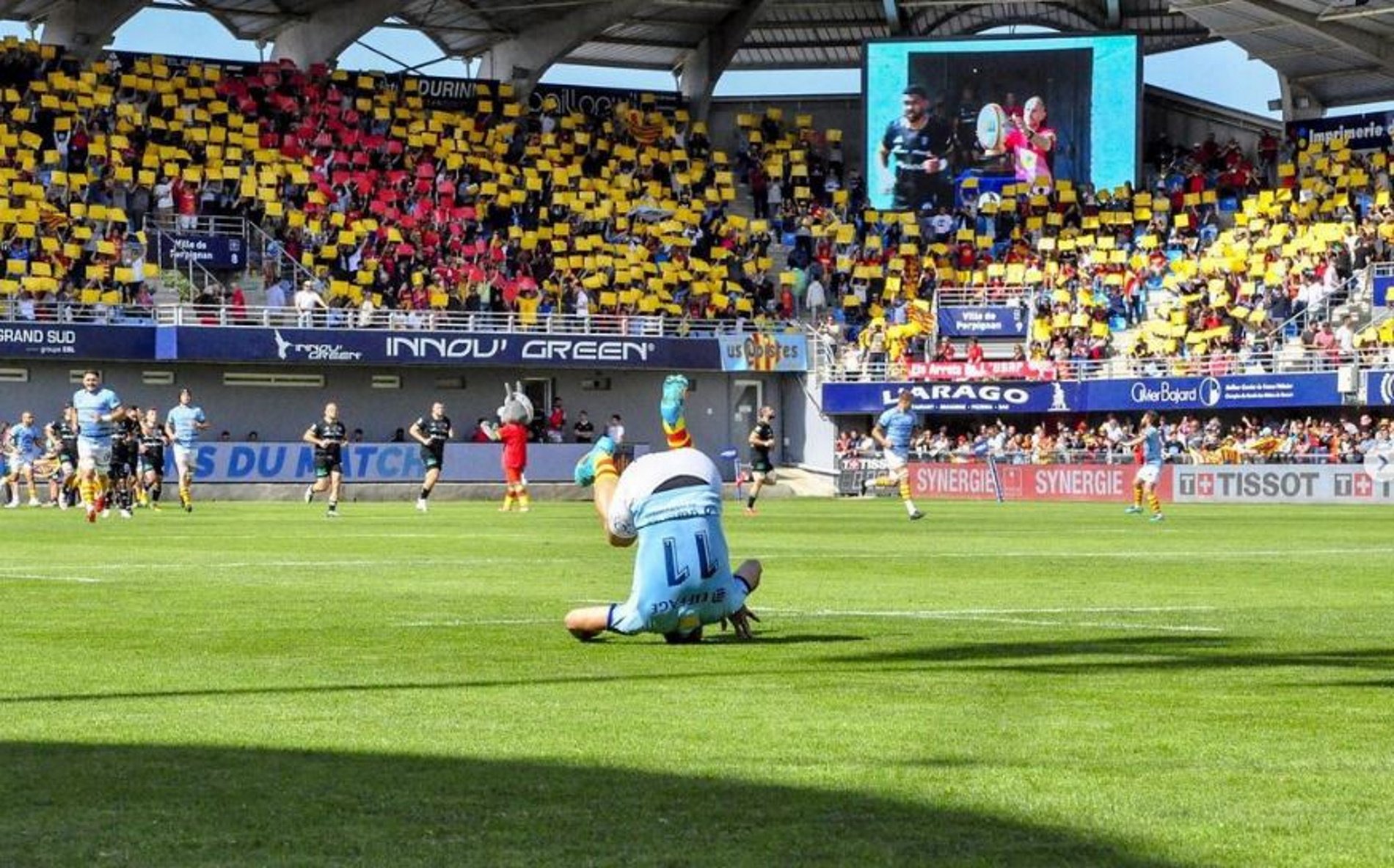 Òmnium organiza un mosaico por el catalán en el partido de rugby del USAP de Perpinyà de este sábado