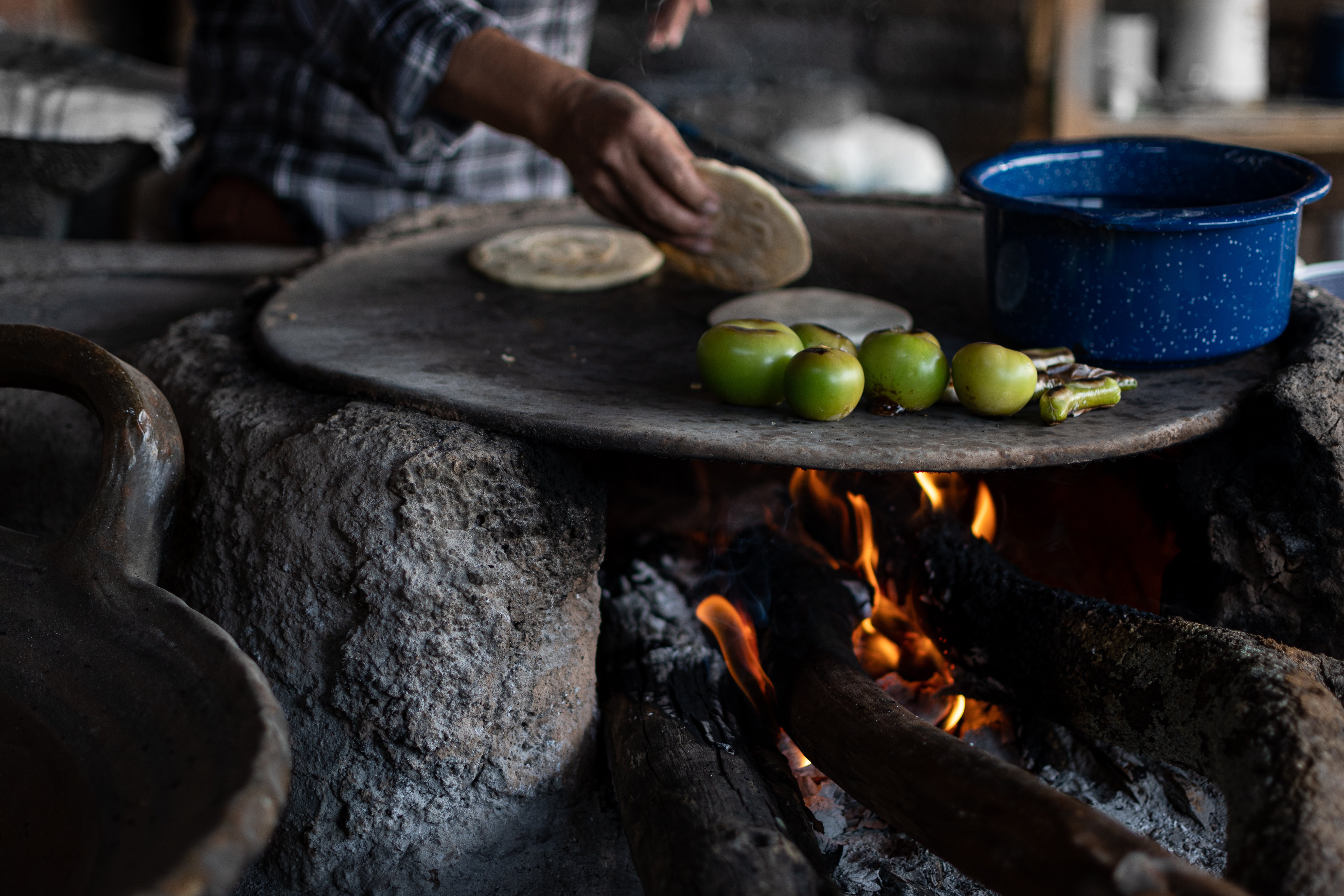 COCINA REGIONAL MEXICANA