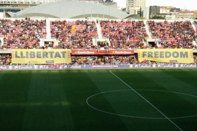 Freddom Miniestadi