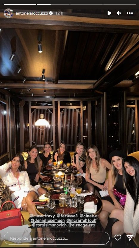 fiesta wags pares fiesta wags pares