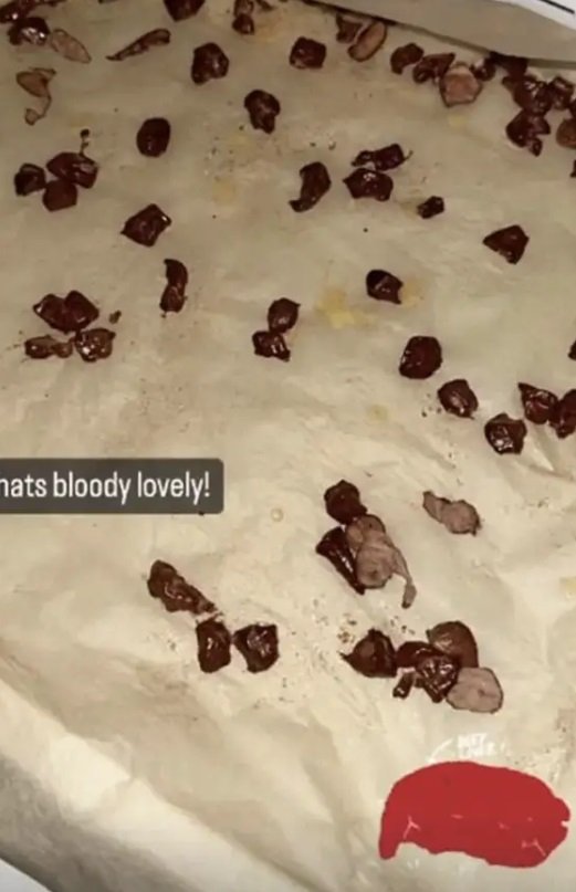 dieta haaland