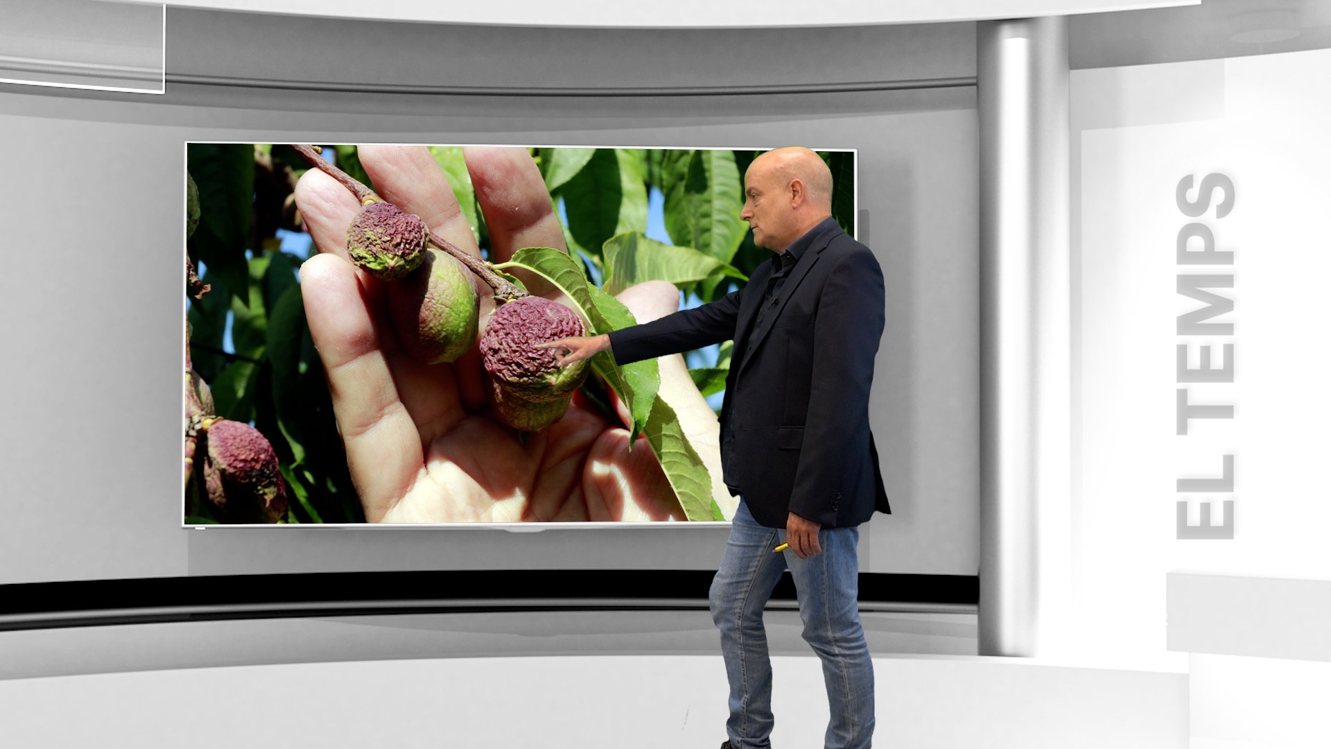 Un episodio de lluvias y tormentas regará Catalunya (los árboles ya agonizan)