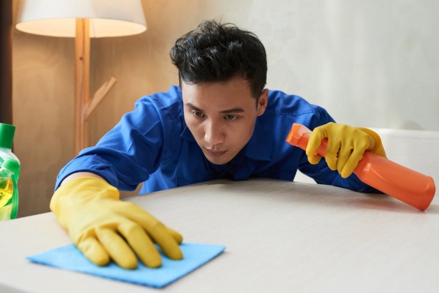 limpieza de la casa ecologica   DragonImages