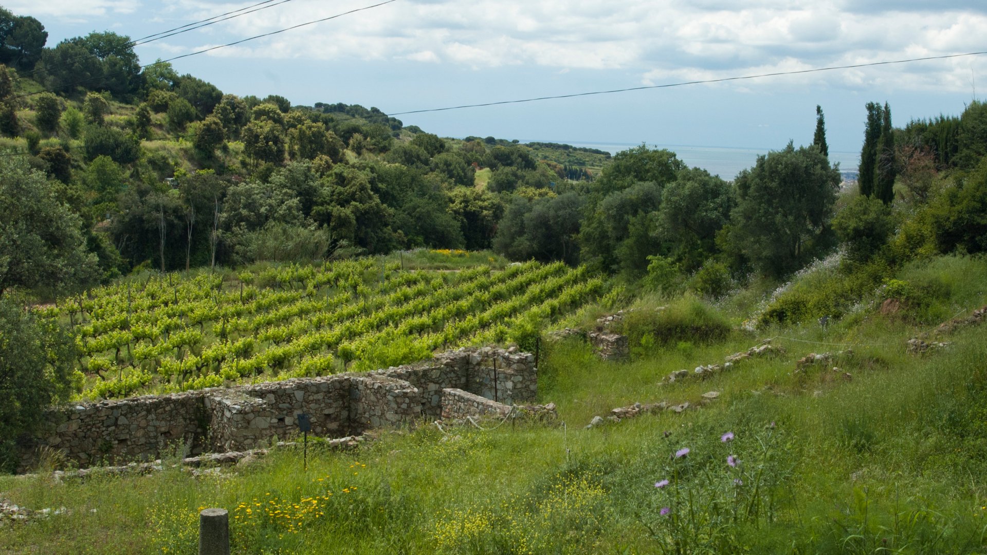 Turisme rural amb nens al Maresme: castells, parcs i natura per passar-ho bé amb els més petits