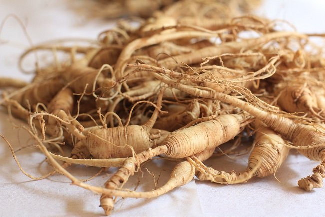 ginseng