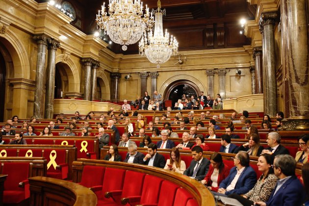 ple parlament sergi alcazar