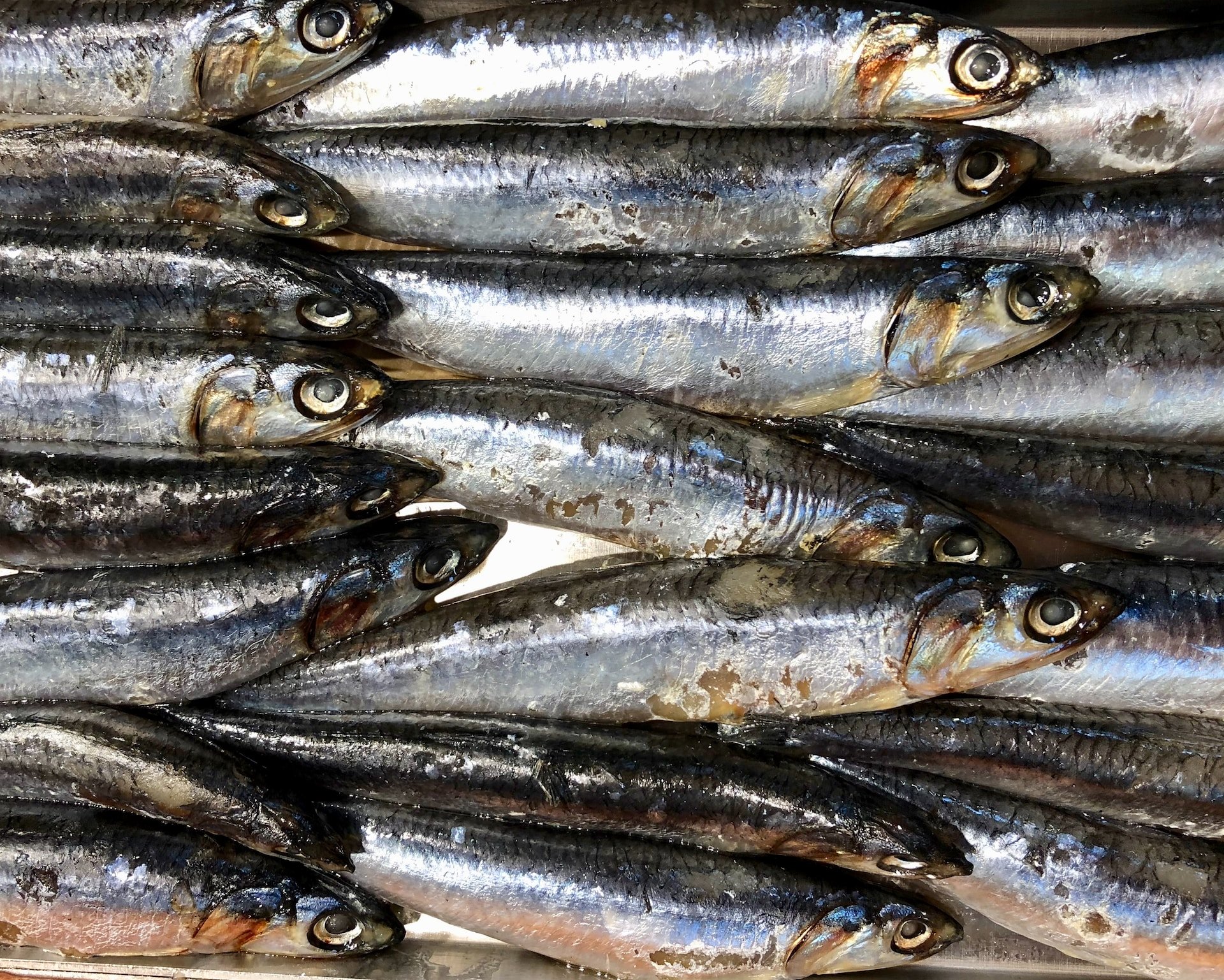 Sardinas en lata: propiedades que seguro que no conocías y que te quitarán las ganas de cocinar