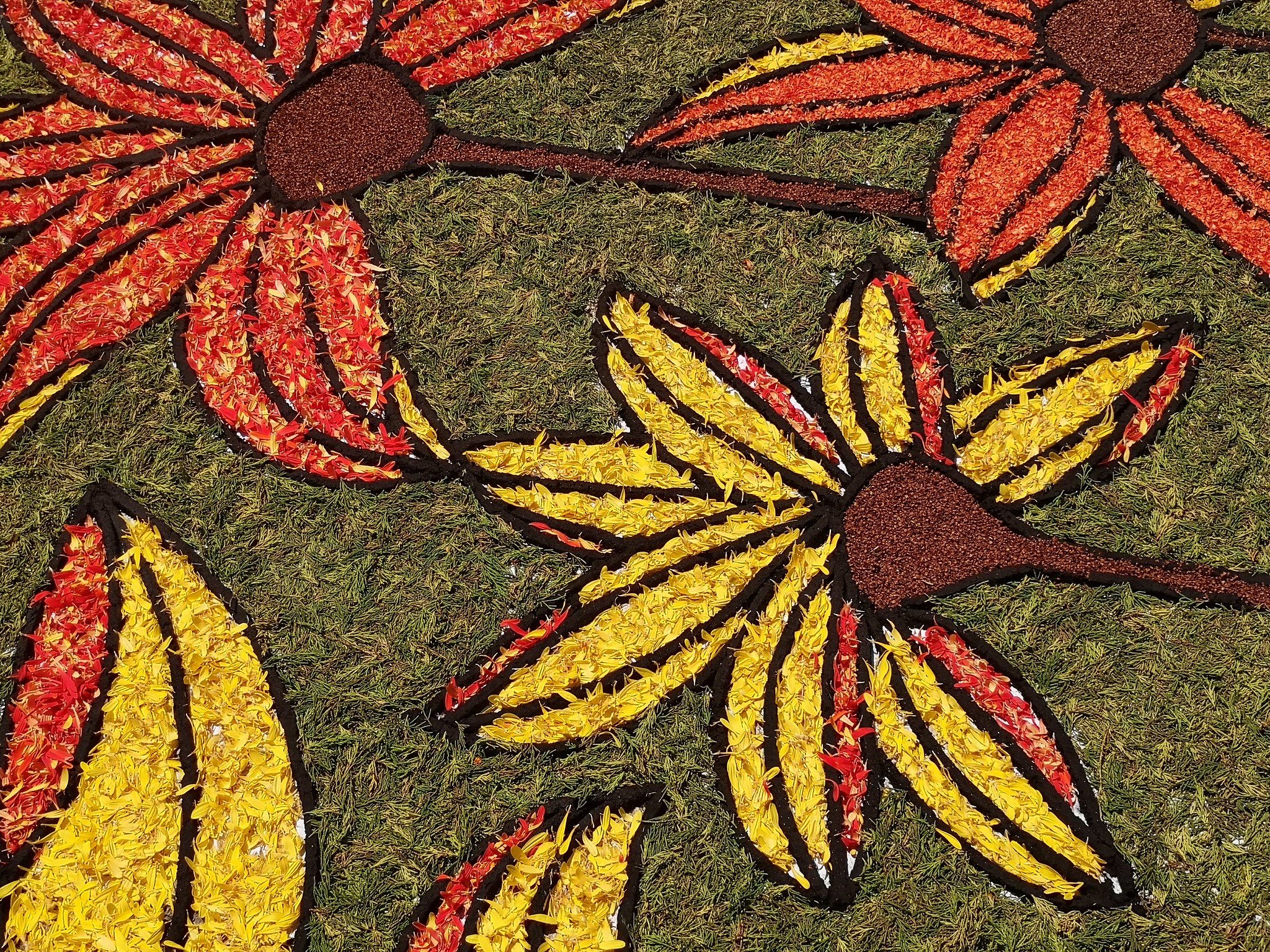 Todo lo que tienes que saber para no perderte las alfombras de flores de Arbúcies este fin de semana