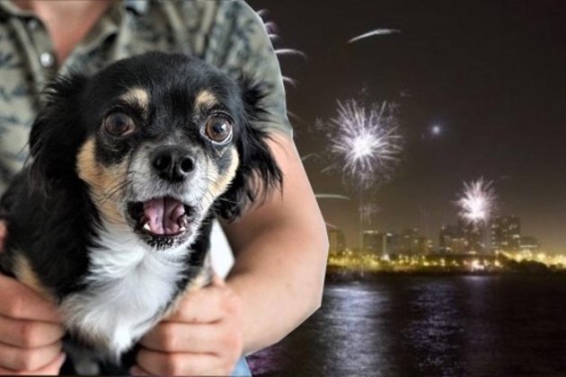 1d49891c 3a13 48ee 8ec5 34b3679fa6b1 16 9 aspect ratio default 0