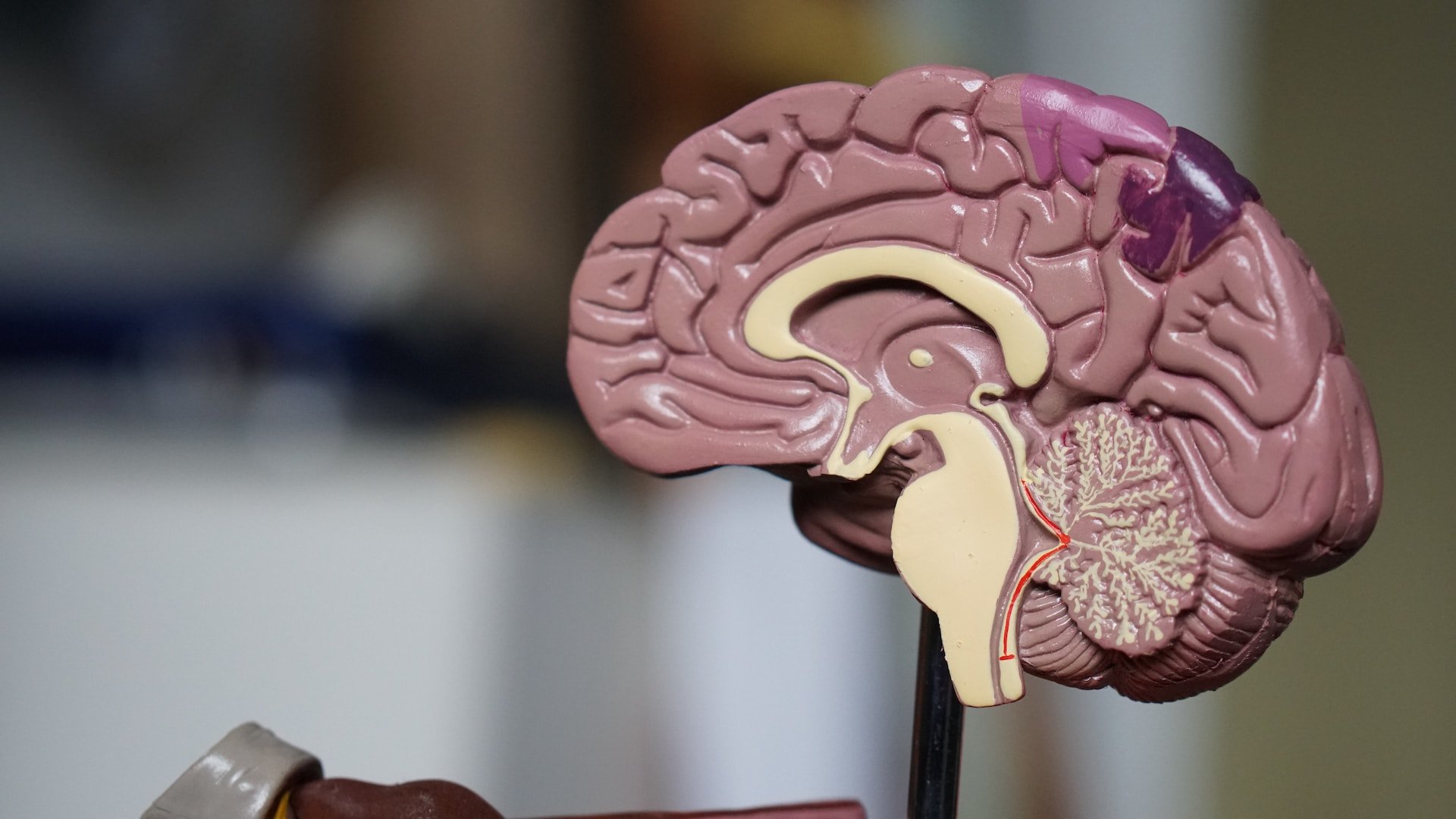 Una prova de parla espontània amb IA és capaç de distingir el grau d'evolució de l'Alzheimer