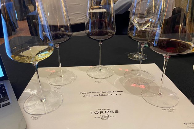Vi celler Familia Torres Foto Víctor Antich Vi celler Familia Torres Foto Víctor Antich