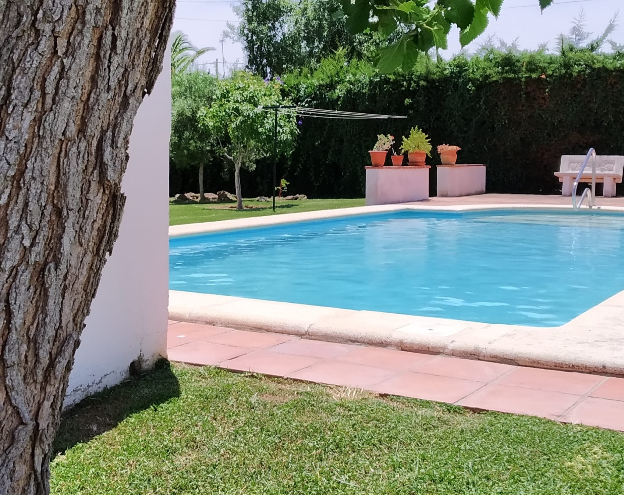 EuropaPress 5138530 piscina particular vivienda residencial chiclana frontera cadiz