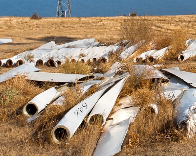 Las palas eólicas del futuro se construirán a partir de biomasa, bambú y raíces de champiñones