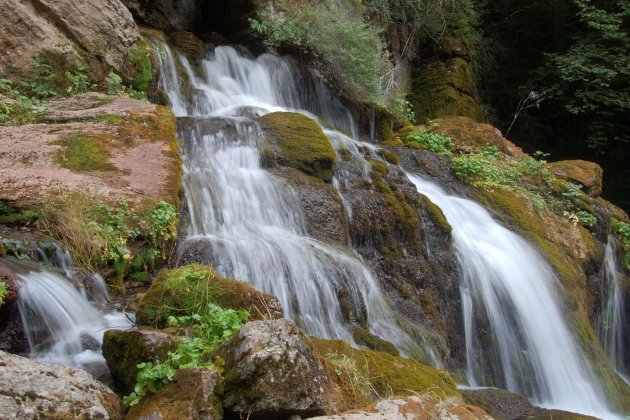 dia mundial del medio ambiente   llobregat