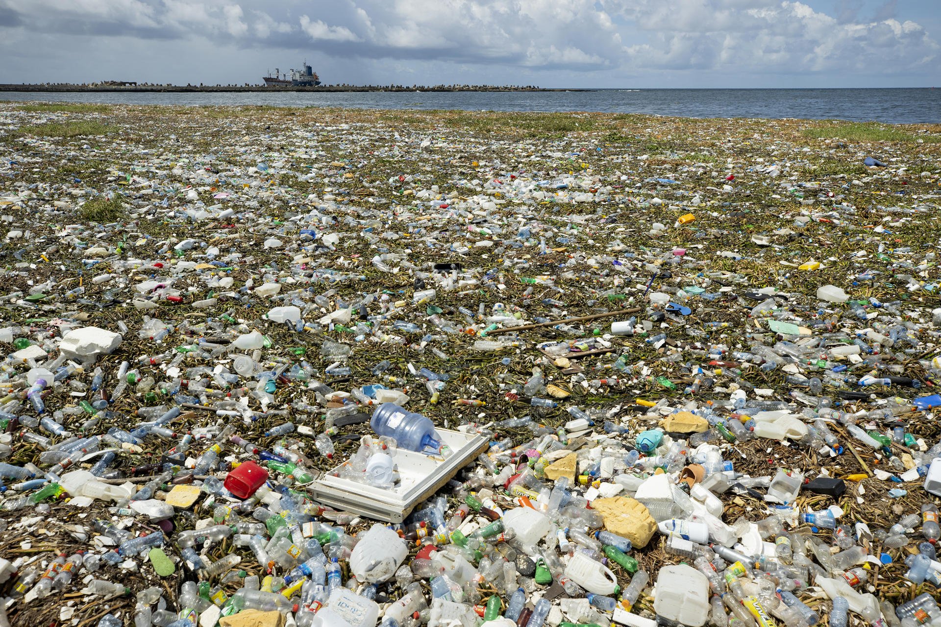 Día Mundial del Medio Ambiente 2023: ¿qué se celebra el 5 de junio?