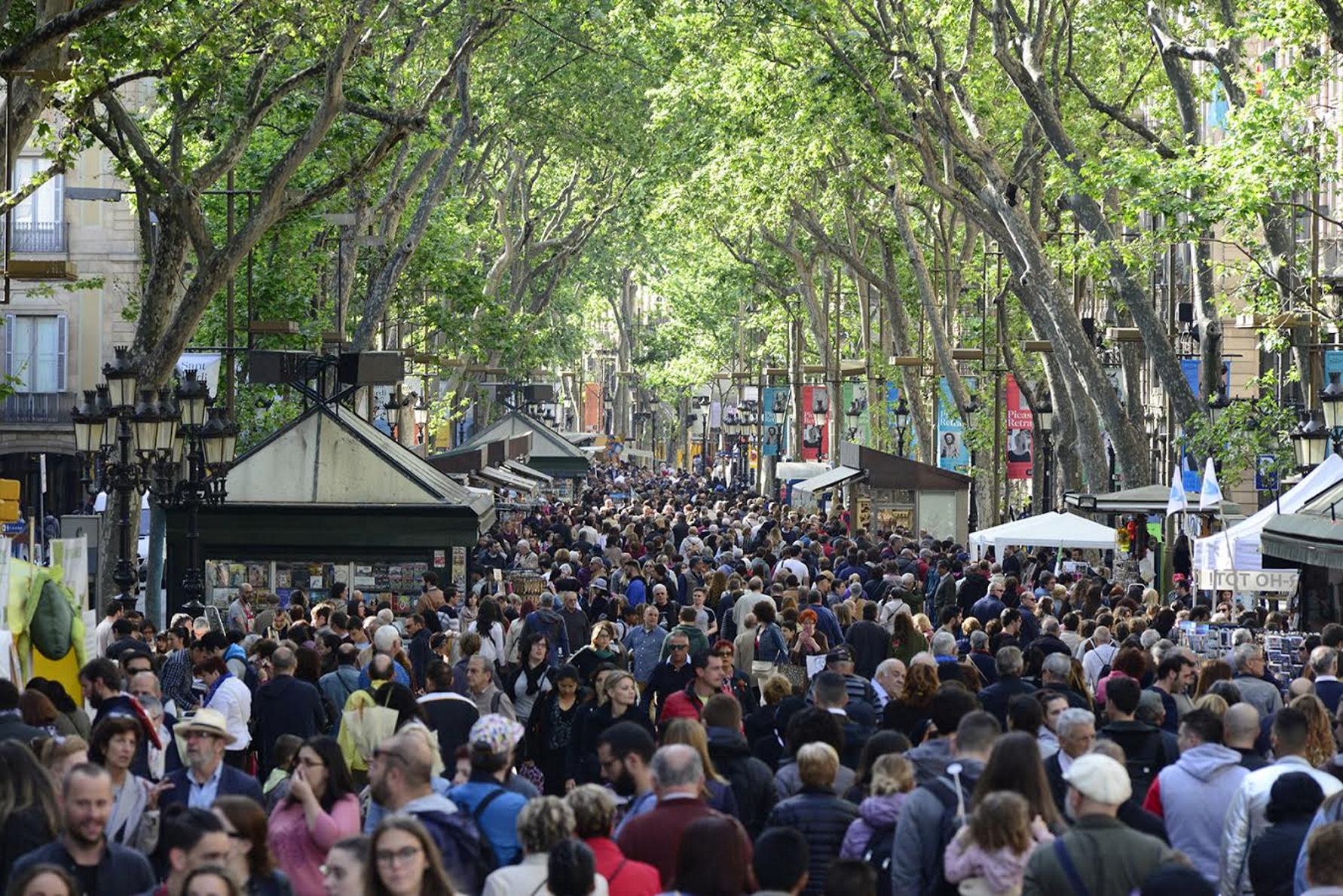 Sant Jordi 2022: What's planned for April 23rd in Catalonia?