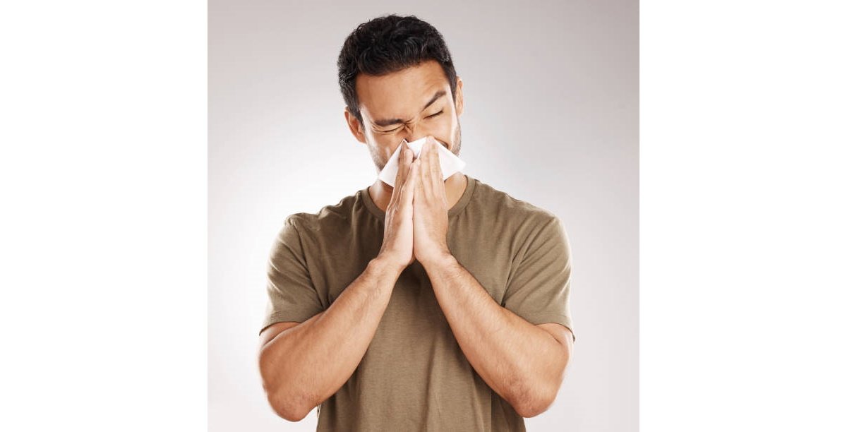 A la primavera, el pol·len augmenta i les al·lèrgies es multipliquen: els experts demanen canviar les catifes