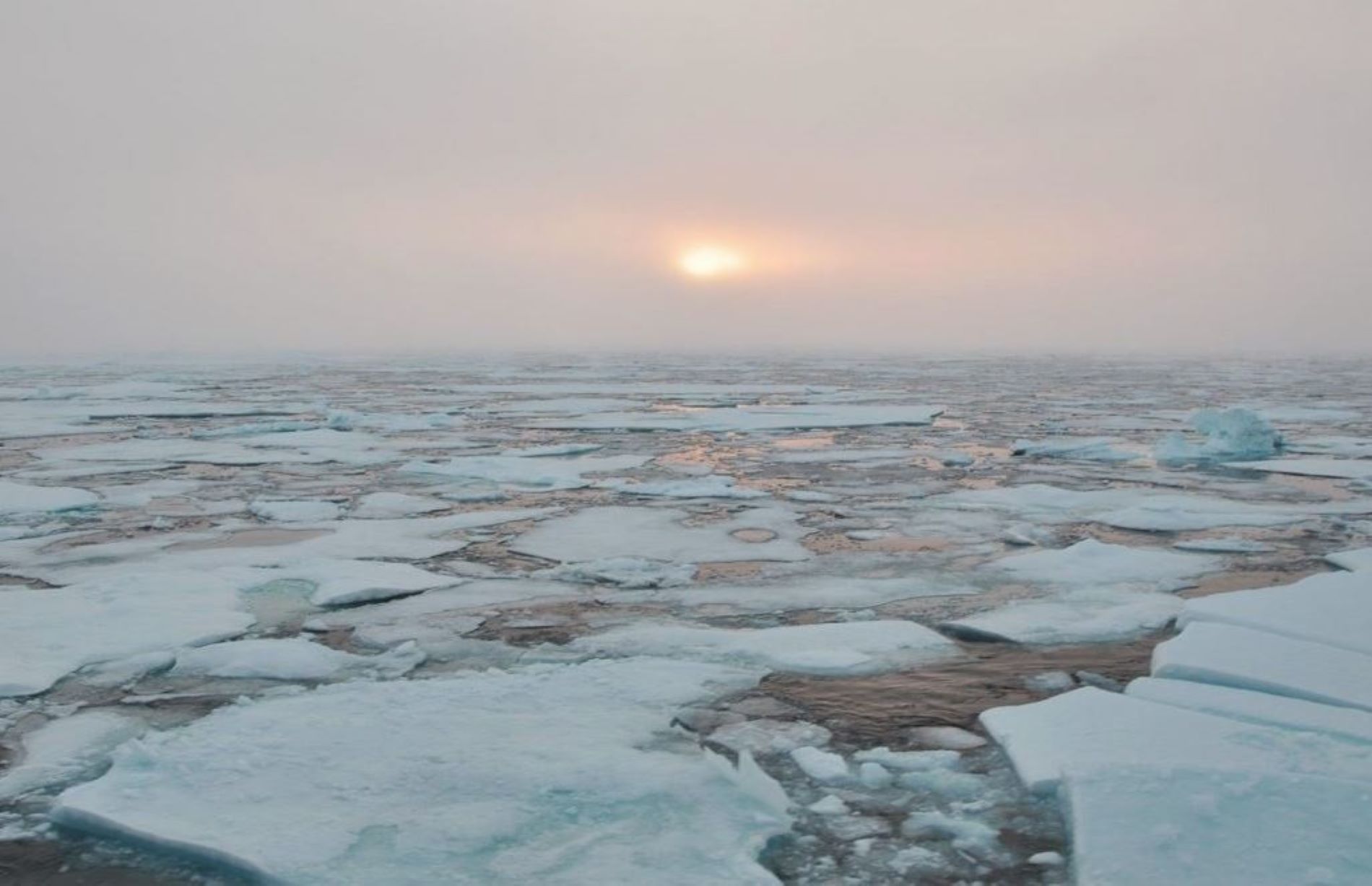 El Ártico perderá todo el hielo marino una década antes de lo previsto