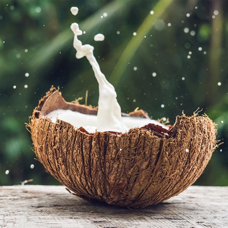 El gel de coco repele a los mosquitos