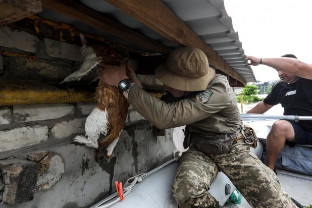 rescate y evacuación victimes tomada kherson inundacio (1) rescate y evacuación victimes tomada kherson inundacio (1)
