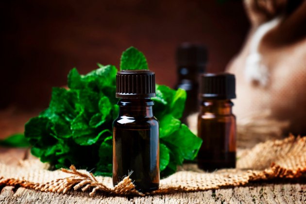 como hacer aceite esencial casero menta como hacer aceite esencial casero menta