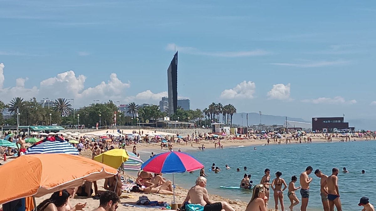 Aquest cap de setmana ha fet calor quasi d'estiu i les platges de Catalunya s'han omplert de bat a bat / Barcelona - Soraya Selva