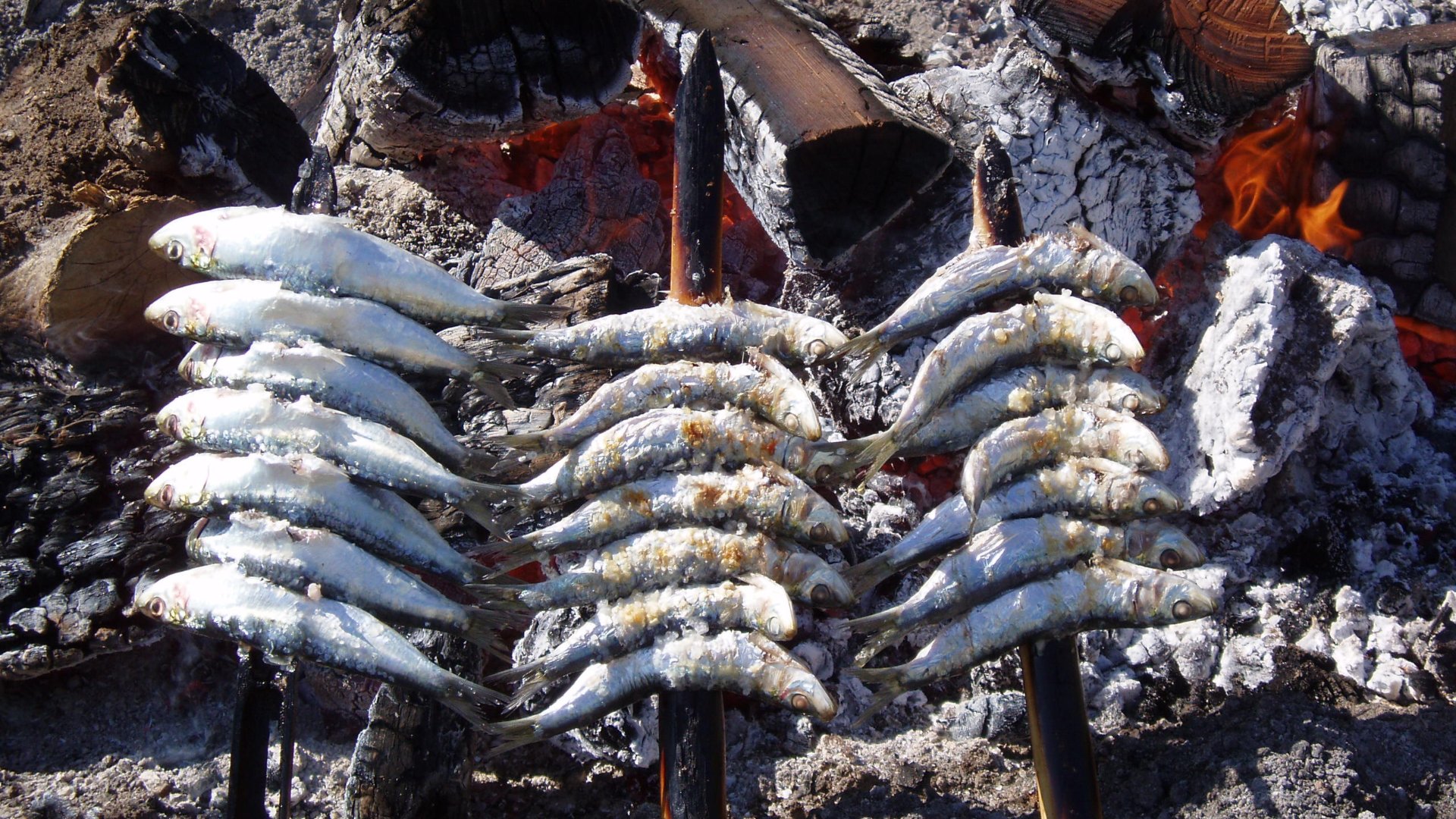 Día del espeto en Google: cómo cocinarlo y qué diferencia hay con la sardina