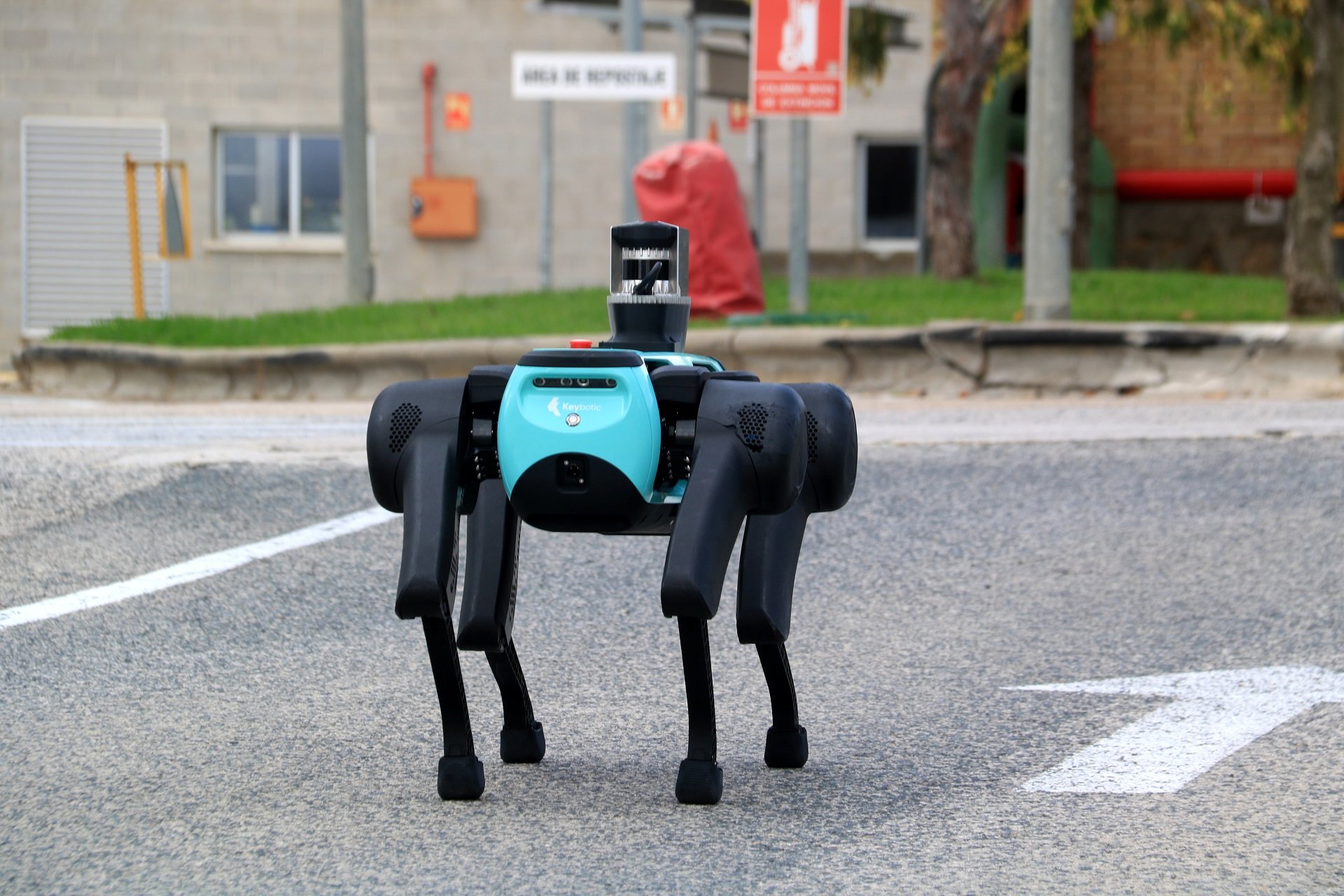 perro robot Keyper