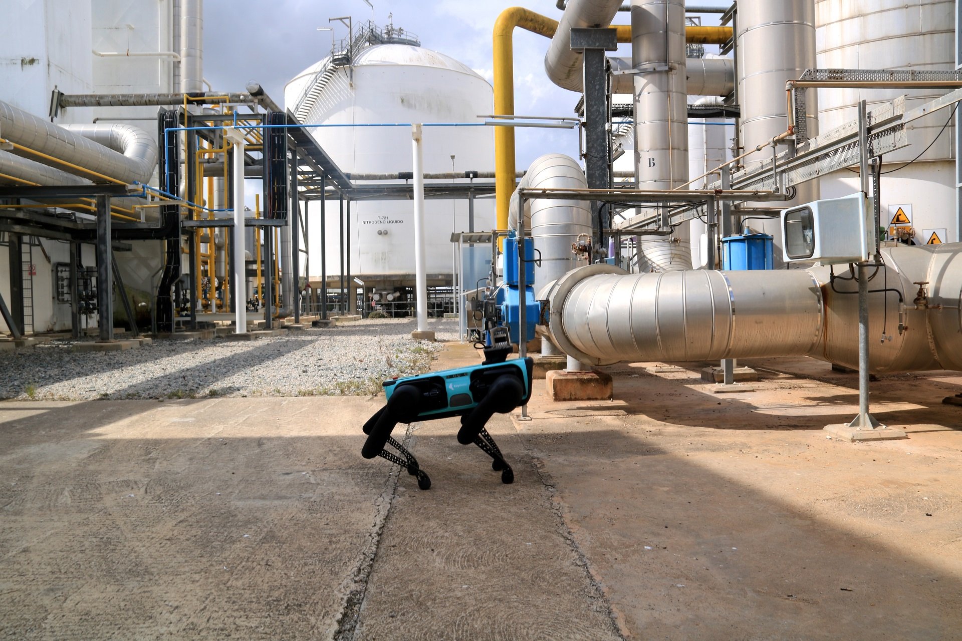 perro robot perro robot