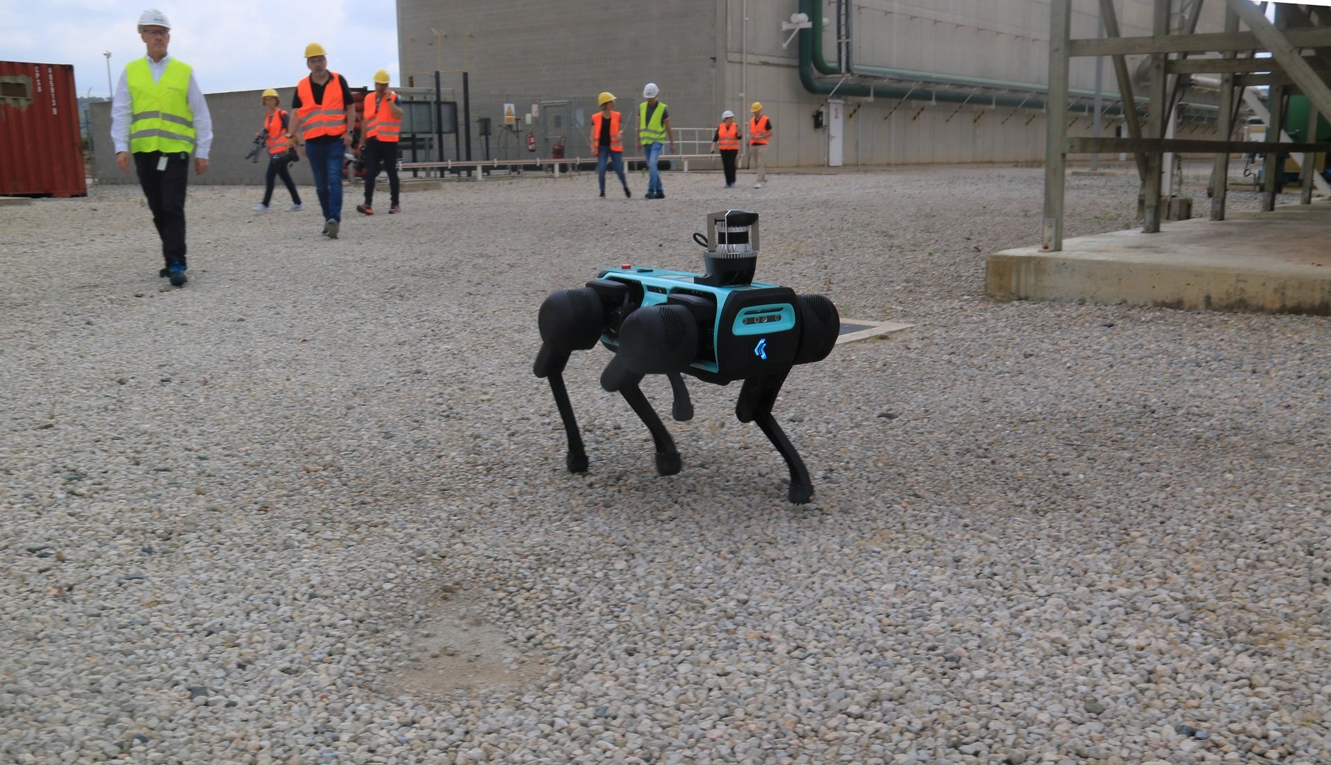 perro robot