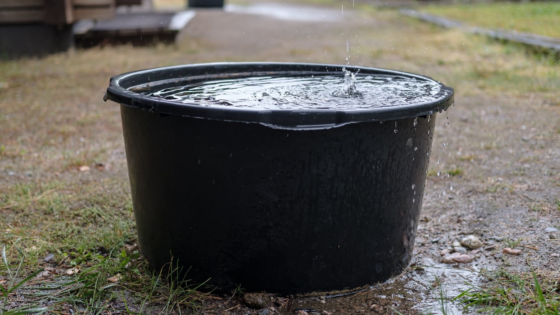 Aprofitar l'aigua de pluja: consells i advertiments que has de seguir