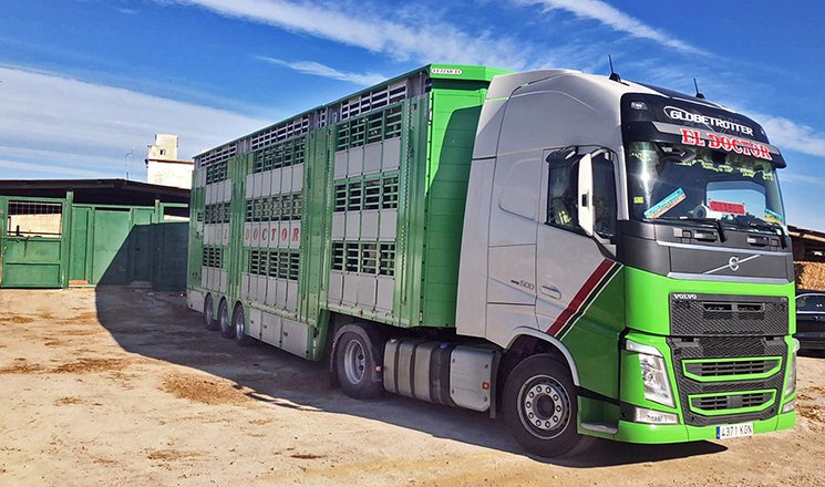 Amb l'estiu, s'extrema el control de les temperatures en el transport d'animals de granja