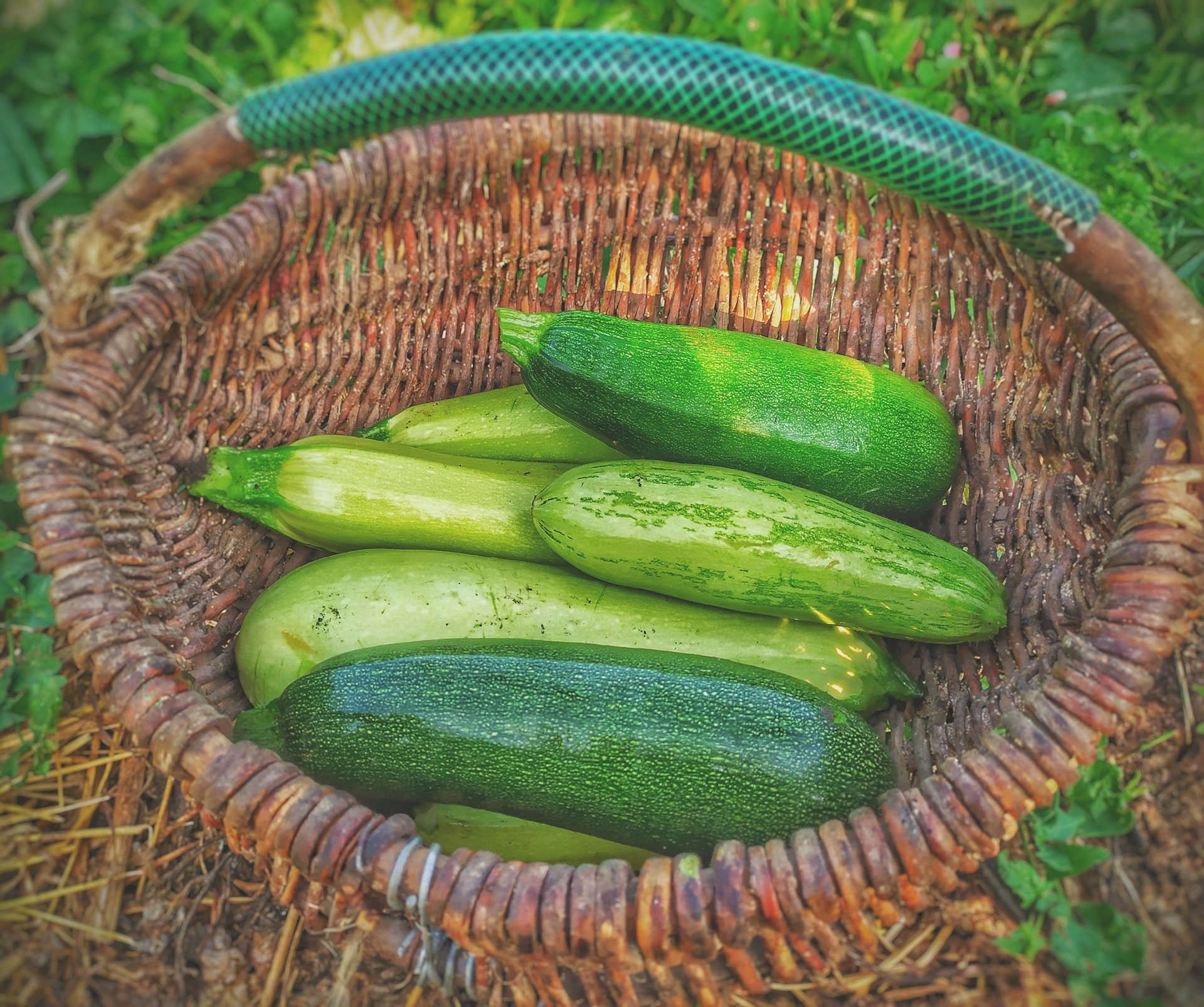 Todo lo que puedes cocinar con un calabacín sin que parezca que comes verdura