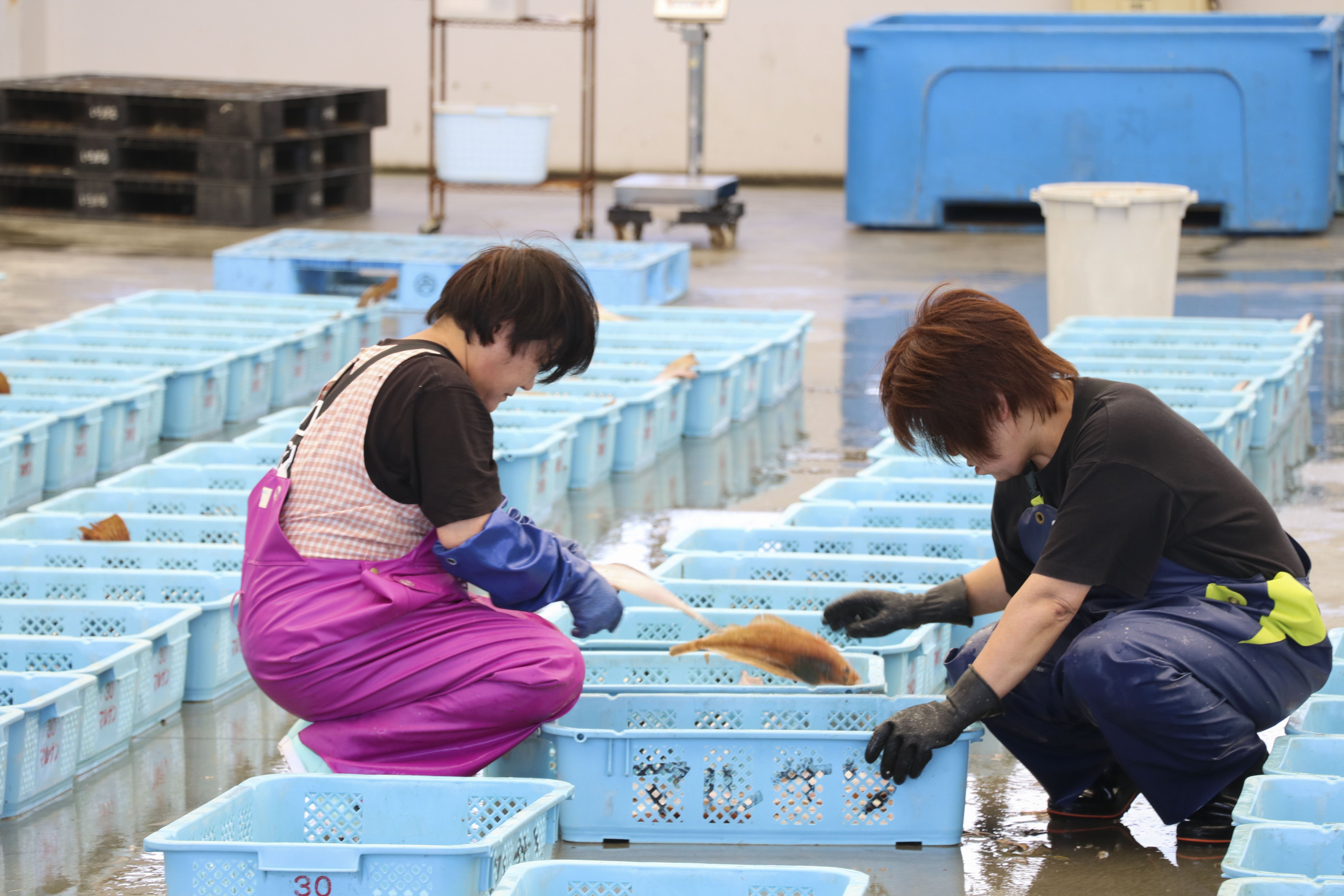 Fukushima: polémico vertido en el Pacífico y pescadores en peligro