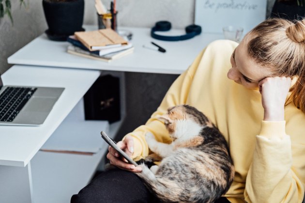 como mejorar la productividad como mejorar la productividad