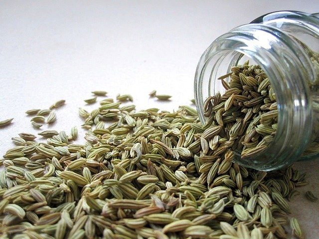 fennel gf2c28cbc7 640