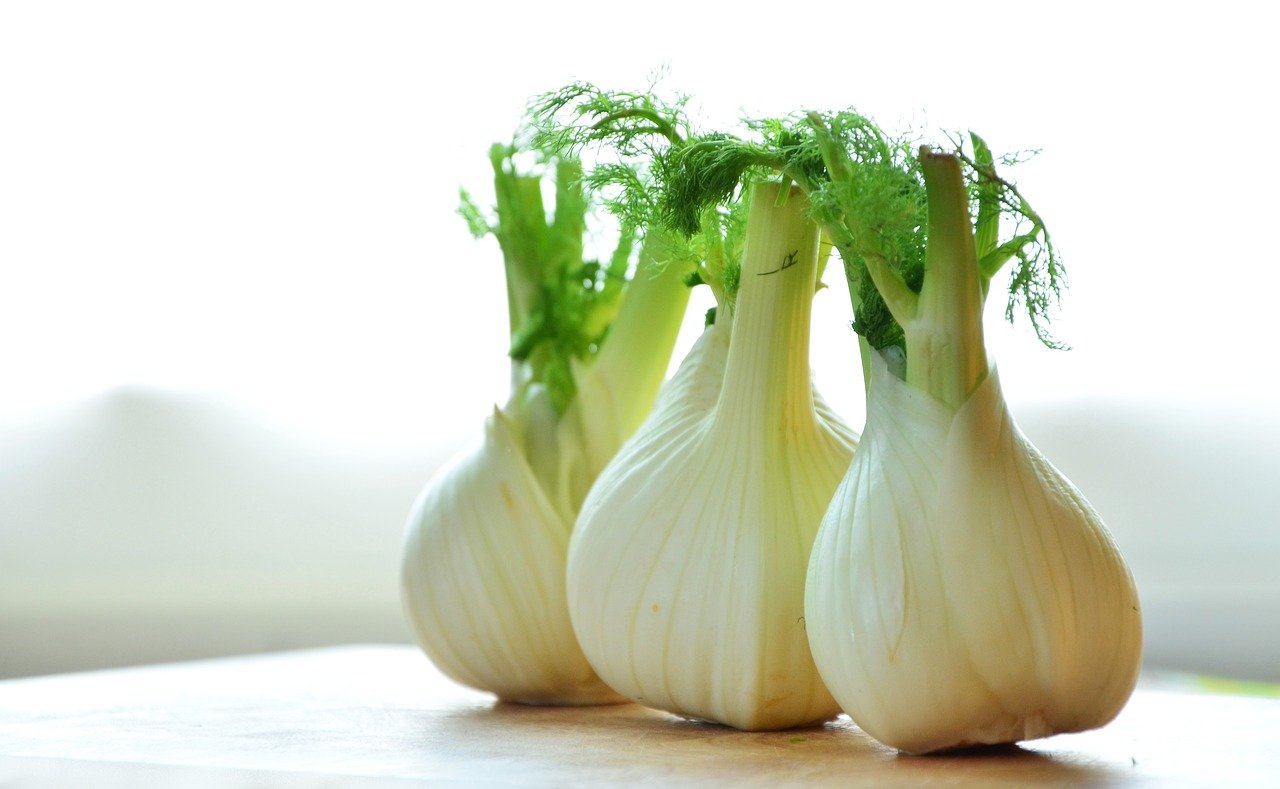 fennel g7edb6558f 1280